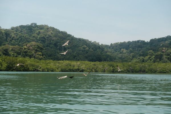 SHARING ISLAND HOPPING BY SPEED BOAT TOUR