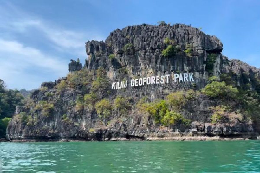 SHARING MANGROVE TOUR