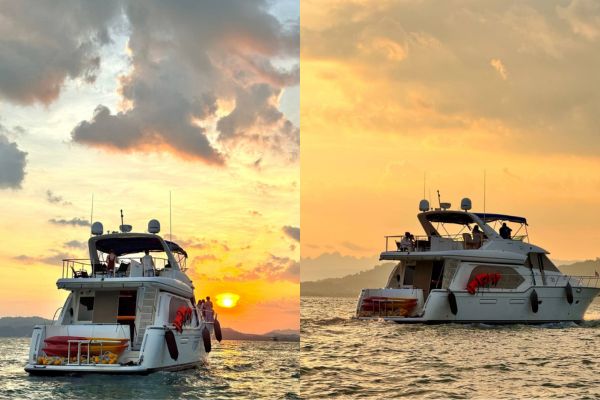 Private Sea Wolff Luxury Cruise (3 hours)