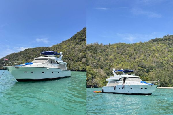 Private Sea Wolff Luxury Cruise (3 hours)